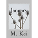 January: A Tanka Diary