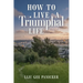 How to Live a Triumphal Life: Based on Matthew 21