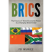 Brics: The Future of World Economic Power in a Changing World Order