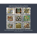 Detonography: The Explosive Art of Evelyn Rosenberg