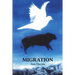 Migration
