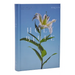 NRSV Catholic Edition Bible, Easter Lily Hardcover (Global Cover Series): Holy Bible