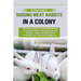 Raising Meat Rabbits in a Colony: From Colony Setup To Sustainable Harvest: A Complete Guide To Successful Farming Practices, Health Care, Ethical Mea
