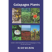 Galapagos Plants: Guide to Identifying Plants found in Galapagos i.e Trees, Shrubs and Flowers