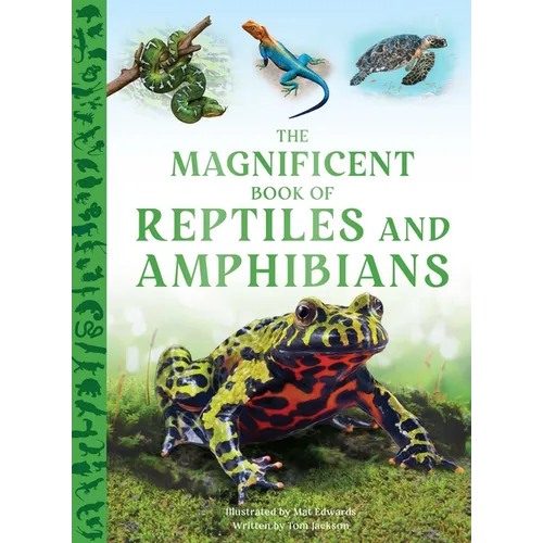 The Magnificent Book of Reptiles and Amphibians
