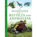 The Magnificent Book of Reptiles and Amphibians