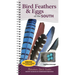 Bird Feathers & Eggs of the South: Identify 40 Species of Common Backyard Birds