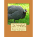 The Guinea Fowl and Its Use As Food: Raising Guinea Fowl For Meat