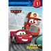 Race Team (Disney/Pixar Cars)
