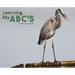 Learning My ABC's