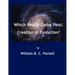 Which Really Came First: Creation or Evolution?