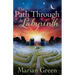 The Path Through the labyrinth