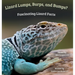 Lizard Lumps, Burps, and Bumps? Fascinating Lizard Facts