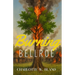 Burning Bellroe