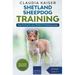 Shetland Sheepdog Training - Dog Training for your Shetland Sheepdog puppy
