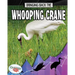 Bringing Back the Whooping Crane