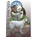 The Great Pyrenees: A Complete and Comprehensive Owners Guide To: Buying, Owning, Health, Grooming, Training, Obedience, Understanding and