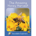 The Amazing Honey Harvest: Skills Set 5