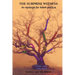 The Surprise Witness: An Apologia for Adam and Eve