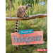 Travel to Madagascar