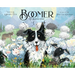 Boomer the Border Collie