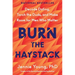 Burn the Haystack: Decode Dating, Torch the Duds, and Make Room for Men Who Matter