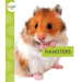 Hamsters