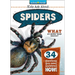 Spiders