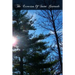 The Exercises Of Saint Gertrude: Virgin And Abbess Of The Order Of St. Benedict