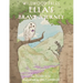 Ella's Brave Journey
