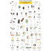 Mac's Field Guides: California Garden Bugs
