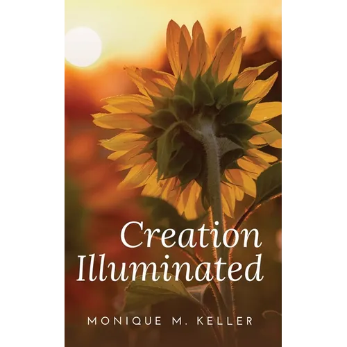 Creation Illuminated