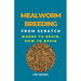 Mealworm Breeding From Scratch: Where To Begin, How To Begin