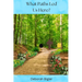 What Paths Led Us Here?