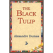 The Black Tulip
