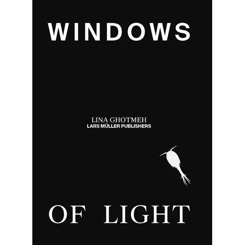 Windows of Light