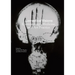 Biomedical Visions: Epistemology, Medicine and Art Practice