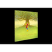 Pippa and the Singing Tree: Joining the Song of All Creation