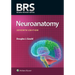 Brs Neuroanatomy