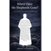 Where Have the Shepherds Gone?