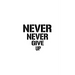 Never Never Give Up
