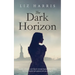 The Dark Horizon