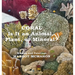 Coral: Is It a Animal, Plant, or Mineral?