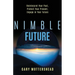 Nimble Future: Reinterpret Your Past, Protect Your Present, Engage in Your Future