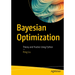 Bayesian Optimization: Theory and Practice Using Python