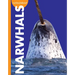 Curious about Narwhals