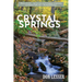 Crystal Springs: A Novel: A Novel
