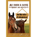 Mc Cohen & Daves - Sheriff and Deputy: In the Way to Nashville