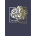 Net Abide Bible Journal - Exodus, Paperback, Comfort Print: Holy Bible