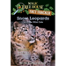 Snow Leopards and Other Wild Cats